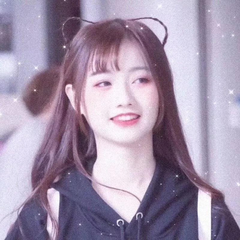 玫瑰的战争
